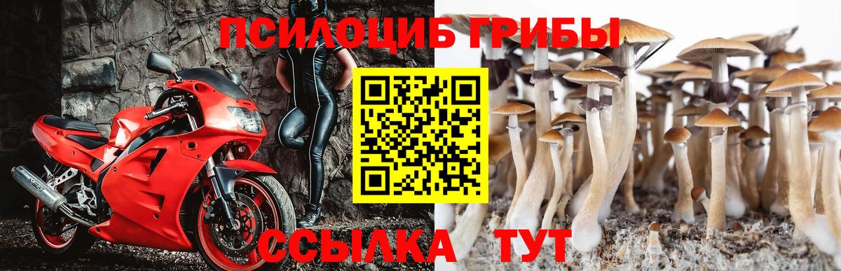 Псилоцибиновые грибы ЛСД Ипатово